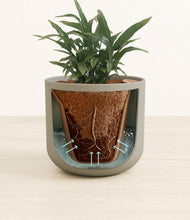 Load image into Gallery viewer, Sage Green