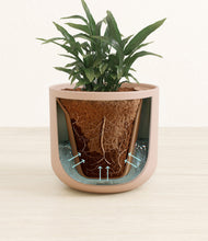 Load image into Gallery viewer, Sandy Pink