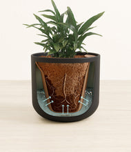 Load image into Gallery viewer, Stone Black