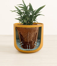 Load image into Gallery viewer, Sunset Orange