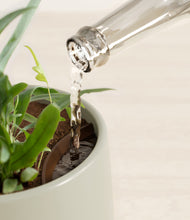 Load image into Gallery viewer, Turquoise stand:all