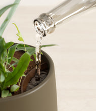 Load image into Gallery viewer, Olive stand:all