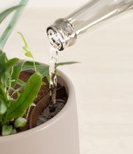 Load image into Gallery viewer, Eternal Gray stand:all