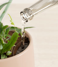 Load image into Gallery viewer, Gentle Pink stand:all