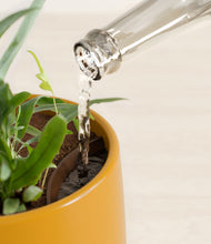 Load image into Gallery viewer, Mustard stand:all