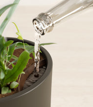 Load image into Gallery viewer, Dark Olive stand:all