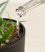 Load image into Gallery viewer, Black stand:all