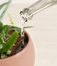 Load image into Gallery viewer, Calm Rose stand:all