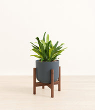 Load image into Gallery viewer, Iron Gray stand:walnut