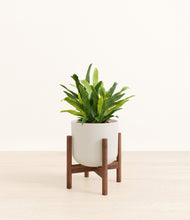 Load image into Gallery viewer, Natural Bamboo stand:walnut