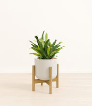 Load image into Gallery viewer, Natural Bamboo stand:bamboo