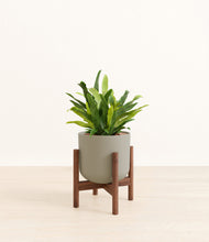 Load image into Gallery viewer, Sage Green stand:walnut