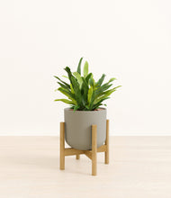 Load image into Gallery viewer, Sage Green stand:bamboo