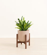 Load image into Gallery viewer, Sandy Pink stand:walnut