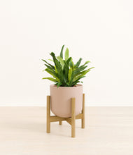 Load image into Gallery viewer, Sandy Pink stand:bamboo