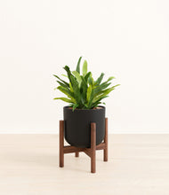 Load image into Gallery viewer, Stone Black stand:walnut