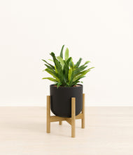 Load image into Gallery viewer, Stone Black stand:bamboo