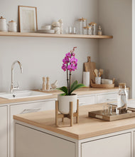 Load image into Gallery viewer, Cotton White stand:bamboo