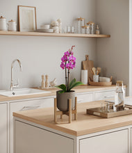 Load image into Gallery viewer, Sage Green stand:bamboo