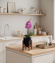 Load image into Gallery viewer, Stone Black stand:walnut