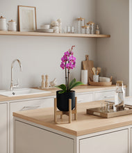 Load image into Gallery viewer, Stone Black stand:bamboo