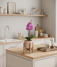 Load image into Gallery viewer, Sandy Pink stand:bamboo