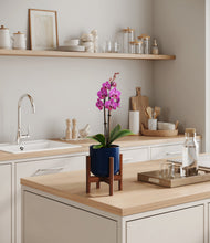 Load image into Gallery viewer, Twilight Blue stand:walnut