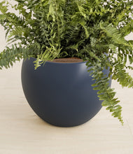 Load image into Gallery viewer, Deep Navy stand:all