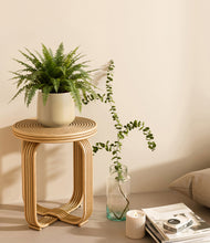 Load image into Gallery viewer, Almond Green