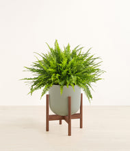 Load image into Gallery viewer, Sage Green stand:dark