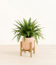 Load image into Gallery viewer, Gentle Pink stand:light