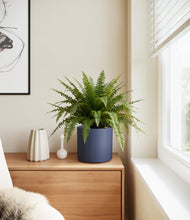Load image into Gallery viewer, Deep Navy