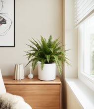 Load image into Gallery viewer, White