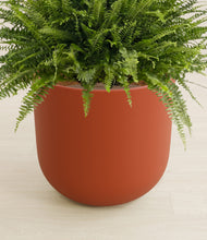 Load image into Gallery viewer, Earth Red stand:all