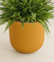 Load image into Gallery viewer, Sunset Orange stand:all