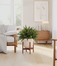 Load image into Gallery viewer, Sandy Pink stand:walnut