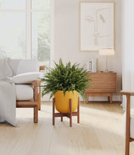 Load image into Gallery viewer, Sunset Orange stand:walnut