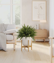 Load image into Gallery viewer, Natural Bamboo stand:bamboo