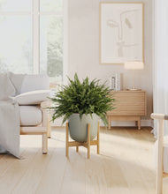 Load image into Gallery viewer, Sage Green stand:bamboo