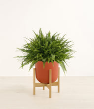 Load image into Gallery viewer, Earth Red stand:bamboo