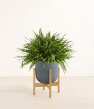Load image into Gallery viewer, Iron Gray stand:bamboo