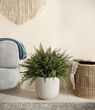 Load image into Gallery viewer, Natural Bamboo stand:all