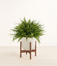 Load image into Gallery viewer, Natural Bamboo stand:walnut
