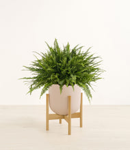 Load image into Gallery viewer, Sandy Pink stand:bamboo