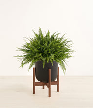 Load image into Gallery viewer, Stone Black stand:walnut