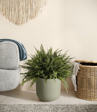 Load image into Gallery viewer, Sage Green stand:all