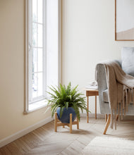 Load image into Gallery viewer, Deep Navy stand:light