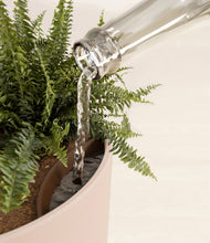Load image into Gallery viewer, Sandy Pink stand:all