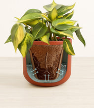 Load image into Gallery viewer, Earth Red