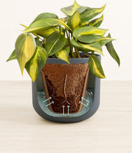 Load image into Gallery viewer, Iron Gray